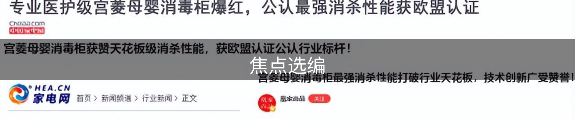 焦点选编